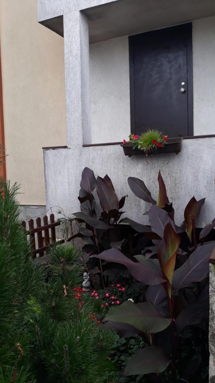Sauliaus Apartamentai Panevėžys Exteriör bild